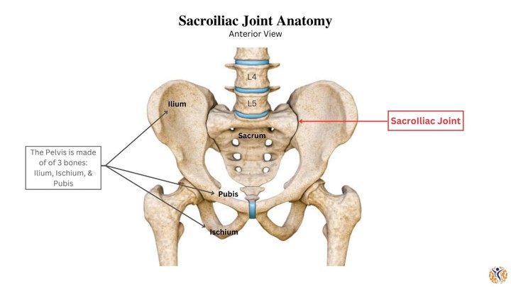 Sacroiliac joint