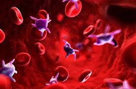 Hematologic Disorders