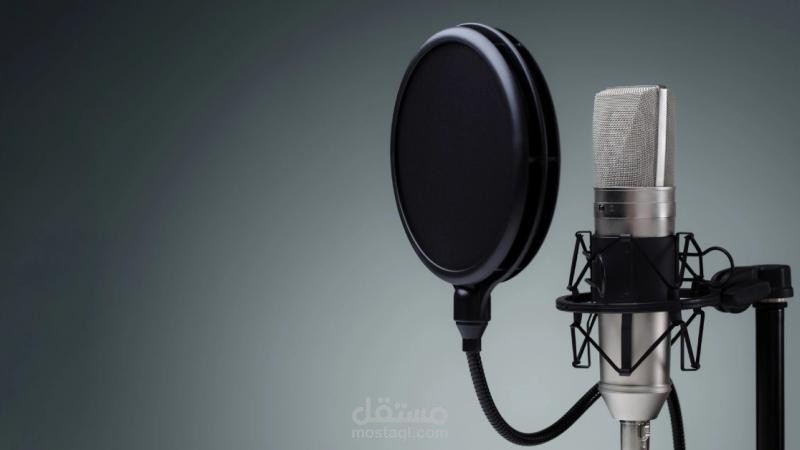 الدوبلاج والتعليق الصوتي الاحترافي.