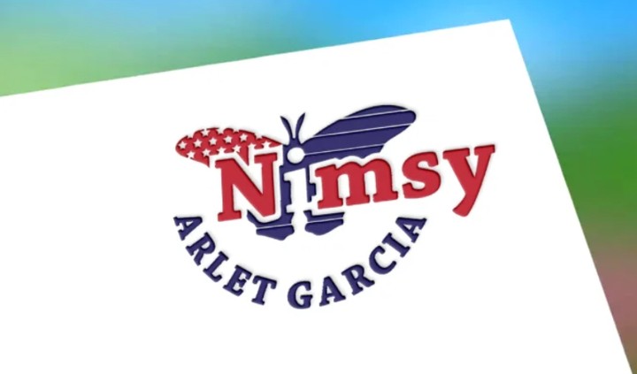 Nimsy logo design