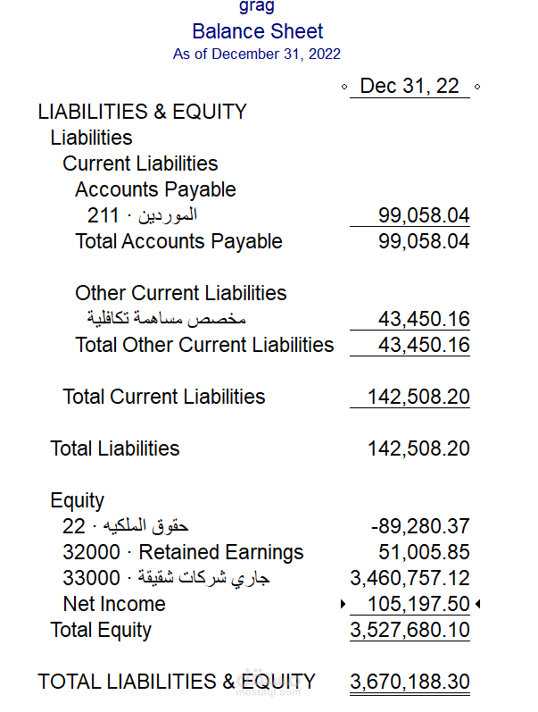 ميزانية عمومية