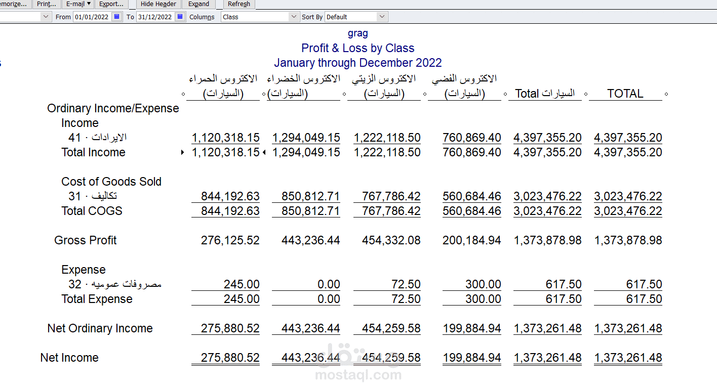 قائمة دخل ( أرباح و خسائر)