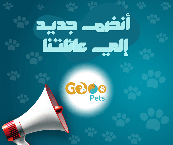 our partners u can check