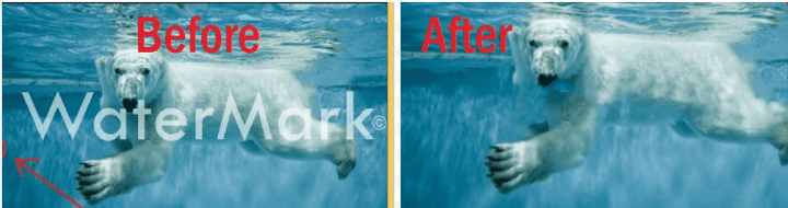 Watermark Remover