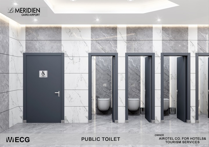 Interior design of public toilet for WECG office