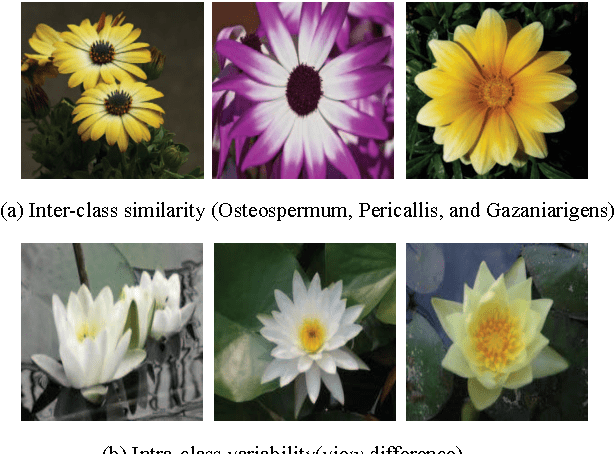 Flower classification using TensorFlow