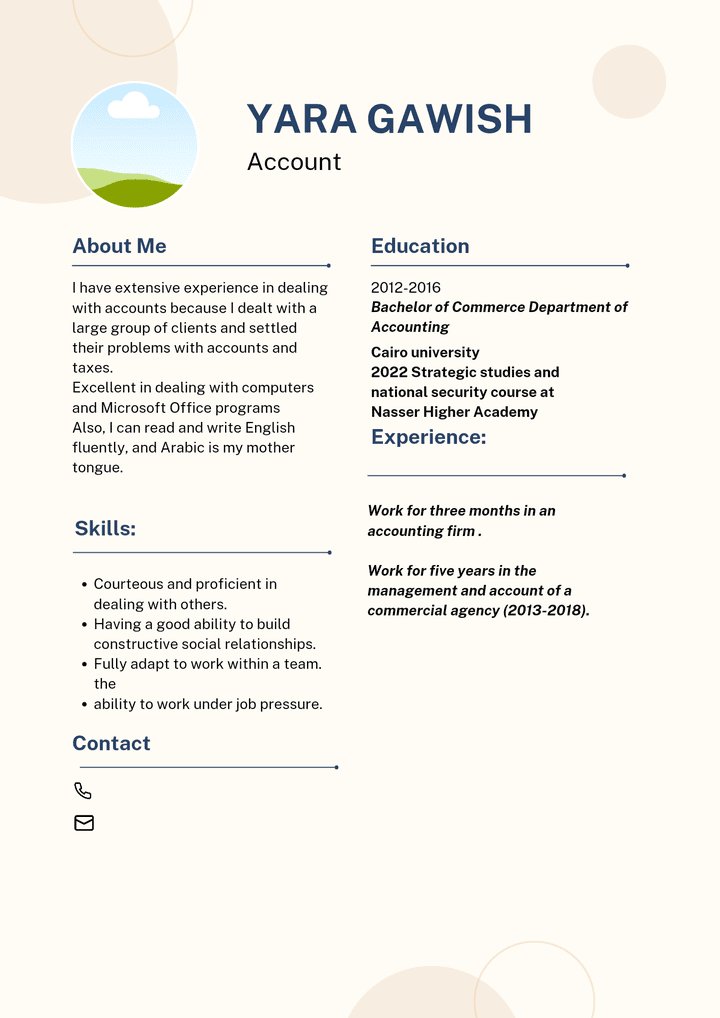 Professional CV