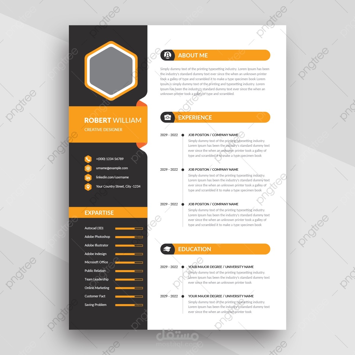 انشاء CV احترافى