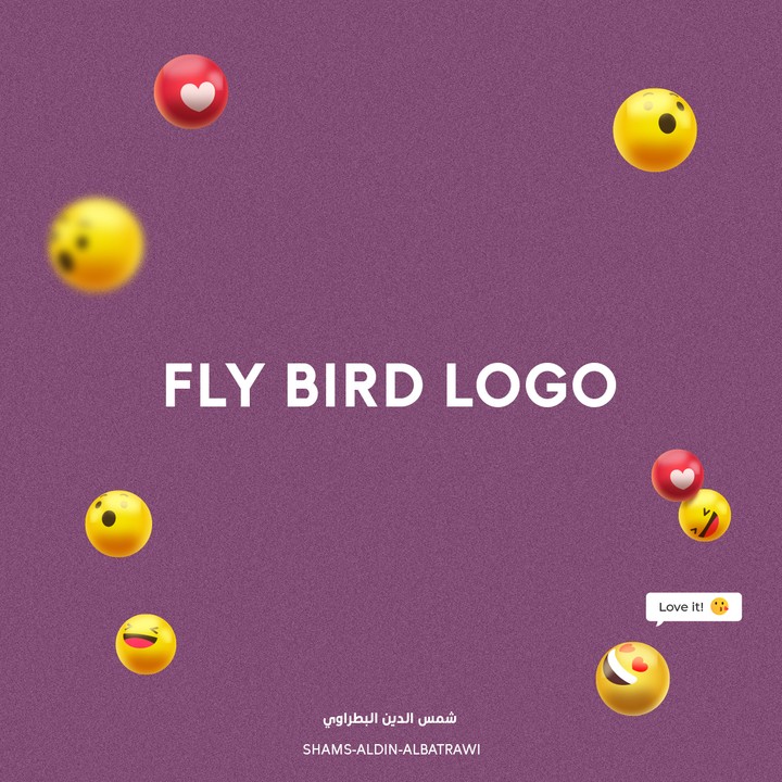 هوية بصرية (fly bird)