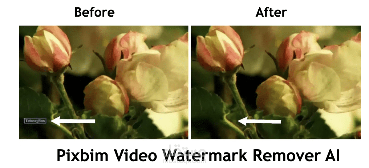 emove a watermark from a video and pictures