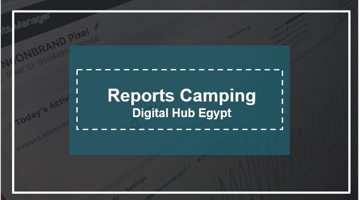 Reports Campaign Digital Hub Egypt