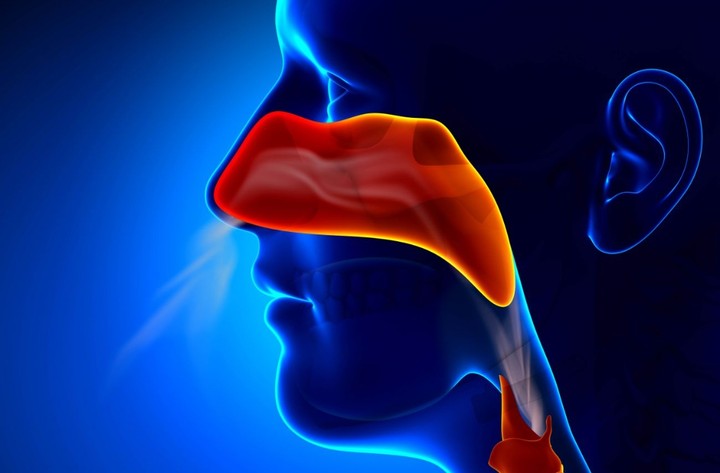 Research about nasal discharge differential diagnosis