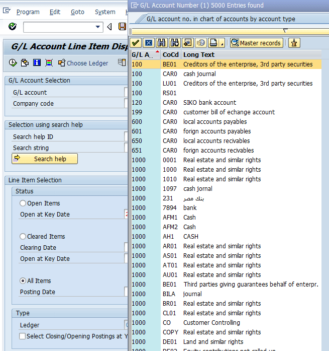 SAP ERP FICO