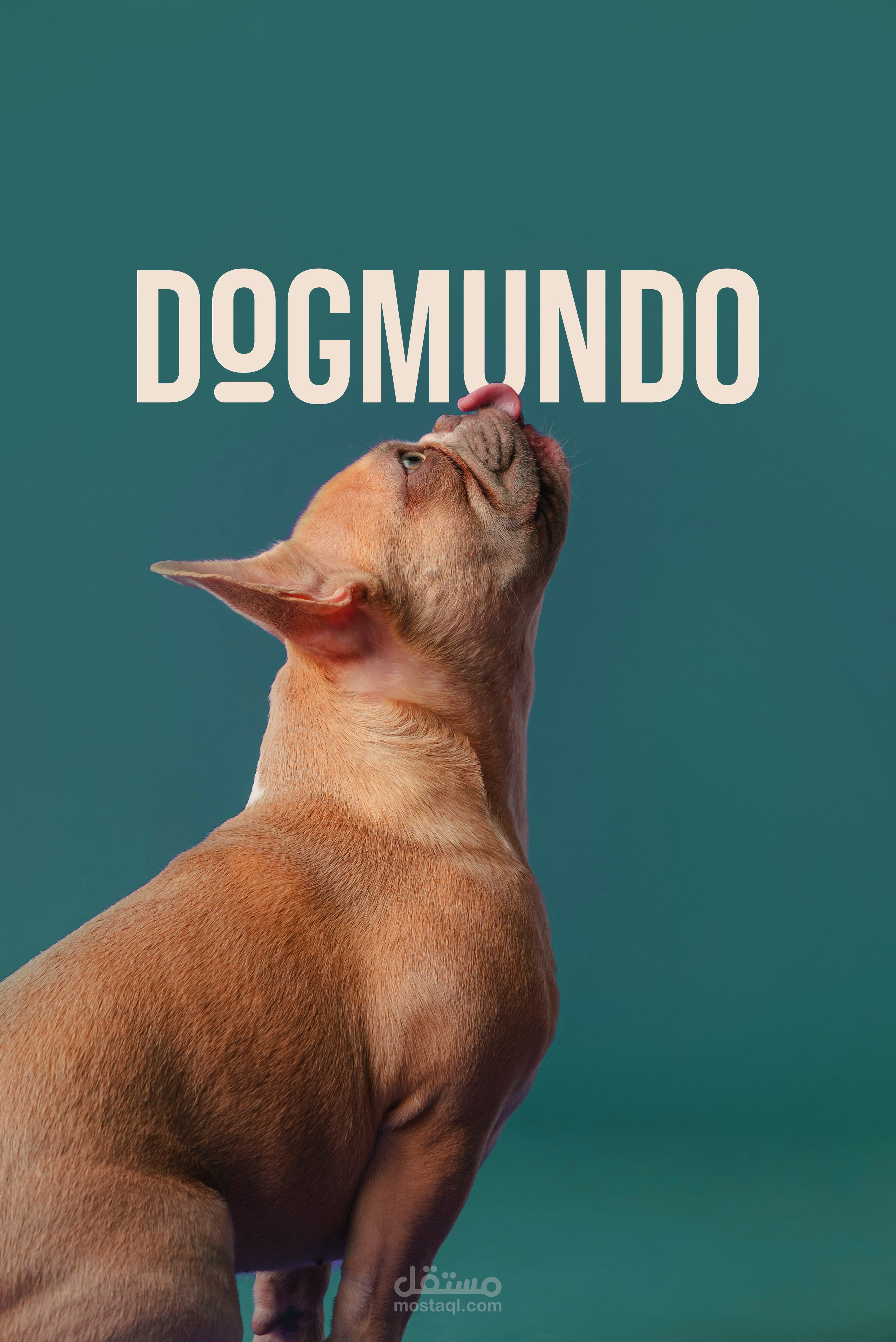 Dogmundo - Dog Shop