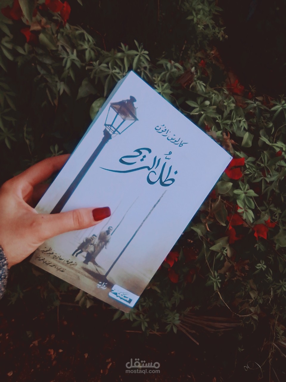 مراجعة رواية " ظل الريح "