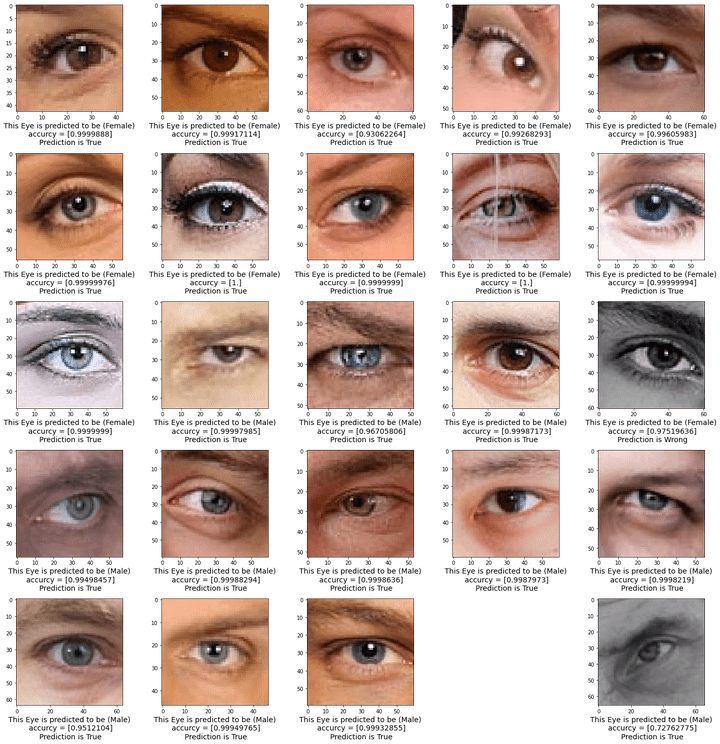 Eye Gender Classifier