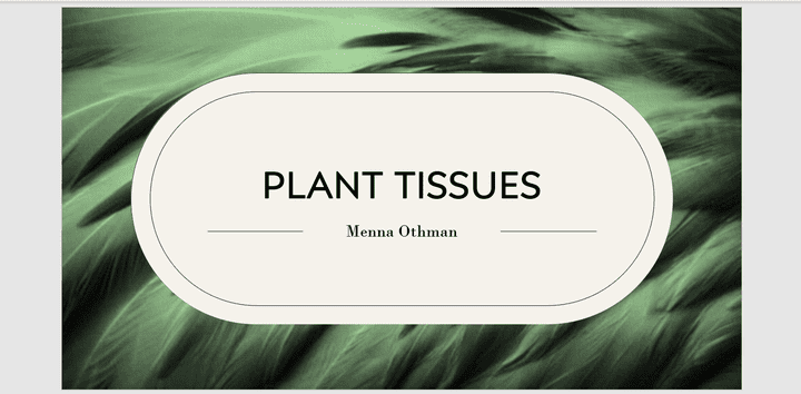 Plant tissues presentation - PowerPoint