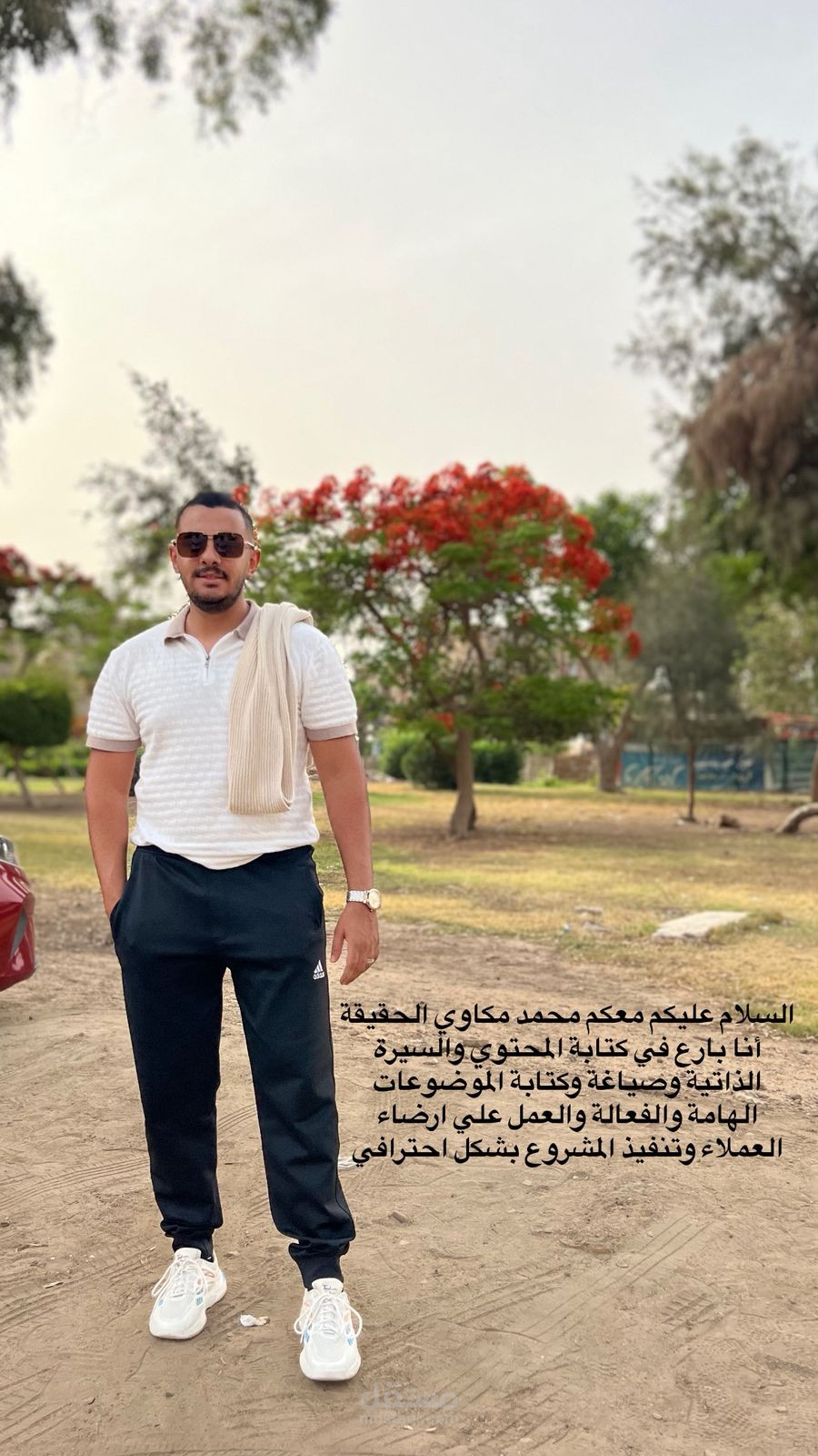 استطيع كتابة موضوعات وسيرة ذاتية وجمل متناسقة سهلة الفهم.