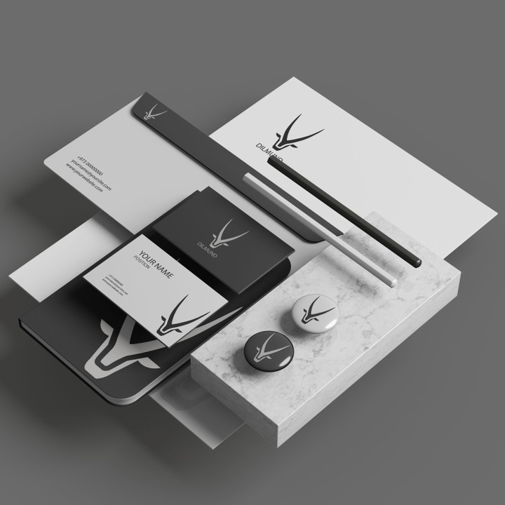 Dilmund Branding Design