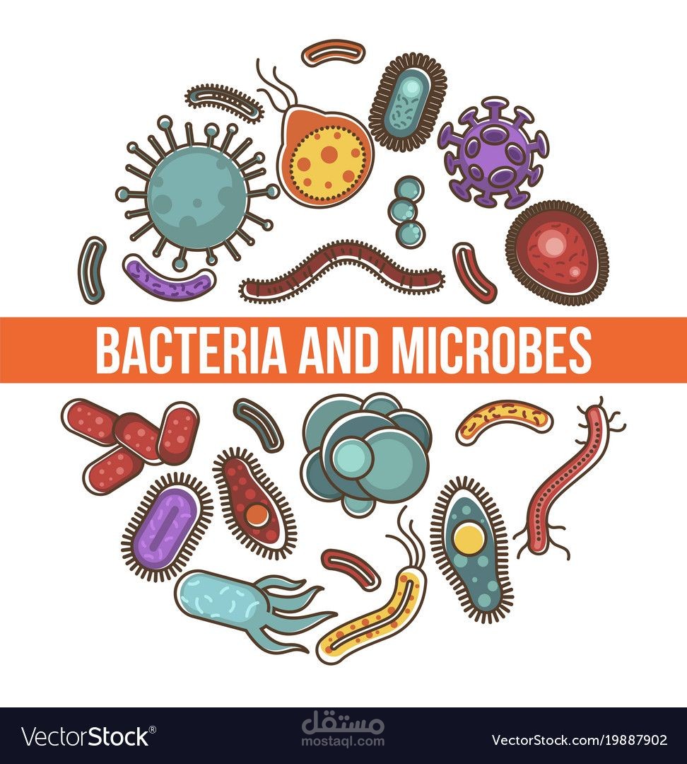 Microorganism
