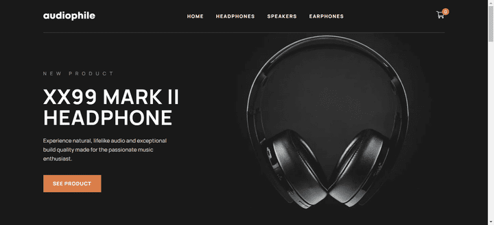 Audiophile_e-commerce