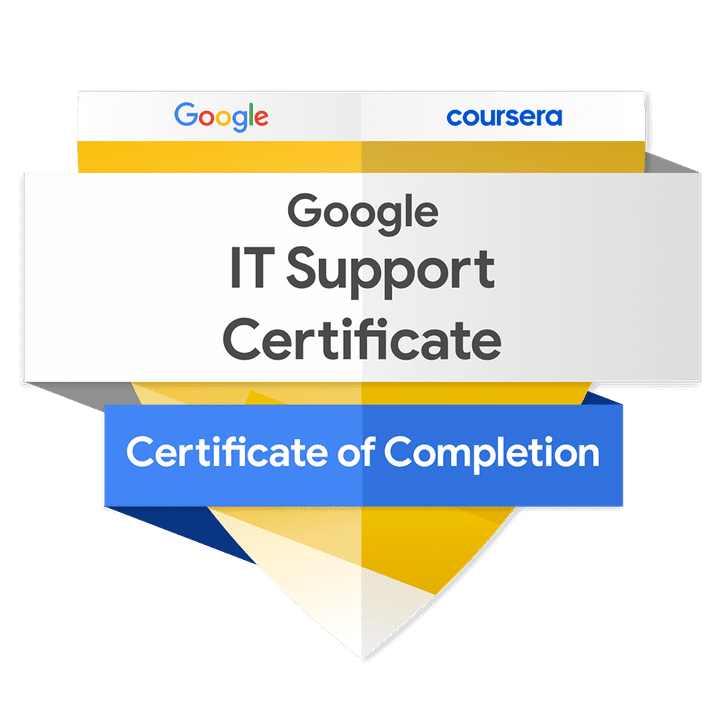 IT professional certificate