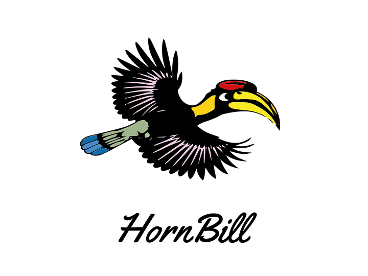 تصميم الهوية البصرية والشعار لشركة hornbill للطيران