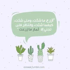 تصاميم وكتابة