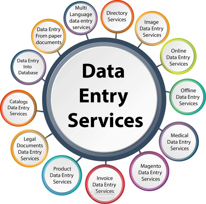 data entry at elsafa group