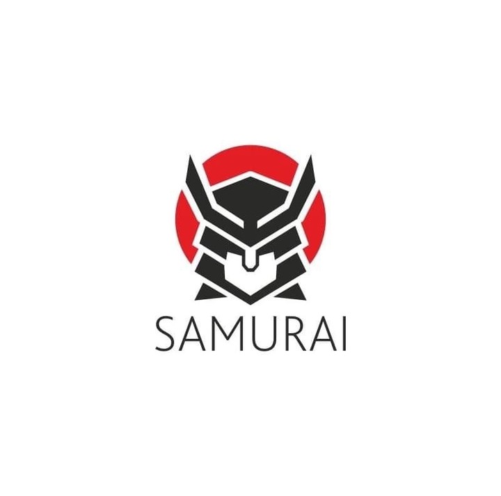 Samurai gamer