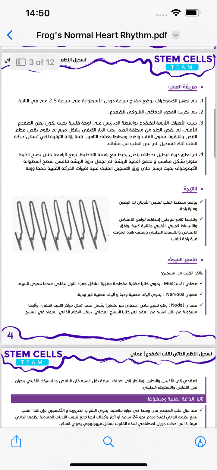 مثال لتنسيق الملف