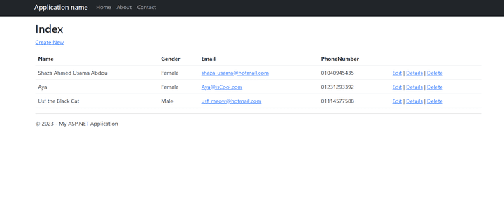 MVC Web App with CRUD Opertations