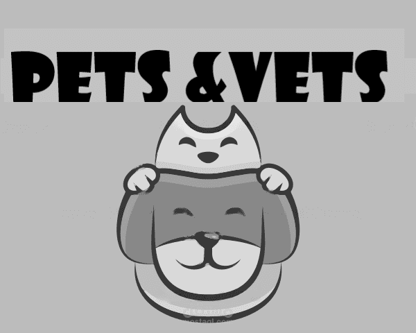 عمل لوجو لعيادة بيطرية pets&vets مع عمل خطة تسويقية كاملة