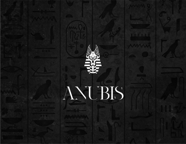 تصميم شعار و هوية بصرية لبراند ملابس ANUBIS