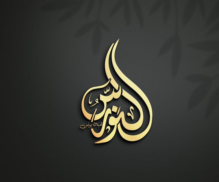 تصميم لوجو . logo design -  شعار النورس مشابه لشعار الجزيرة