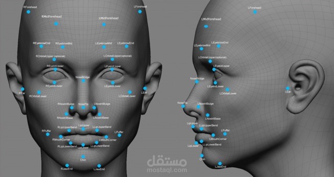 face detection and recognition