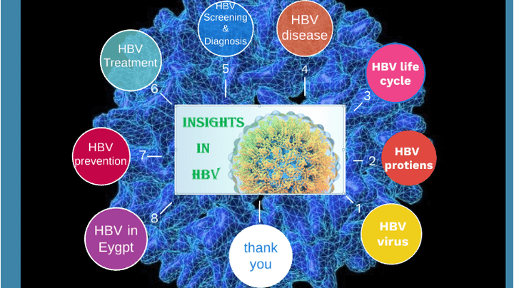 insights in HBV