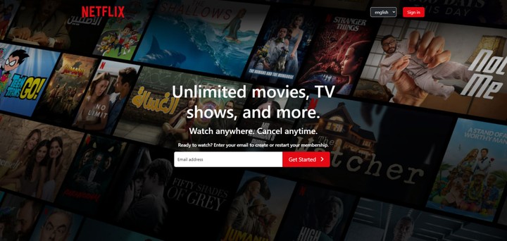 Netflix landing page