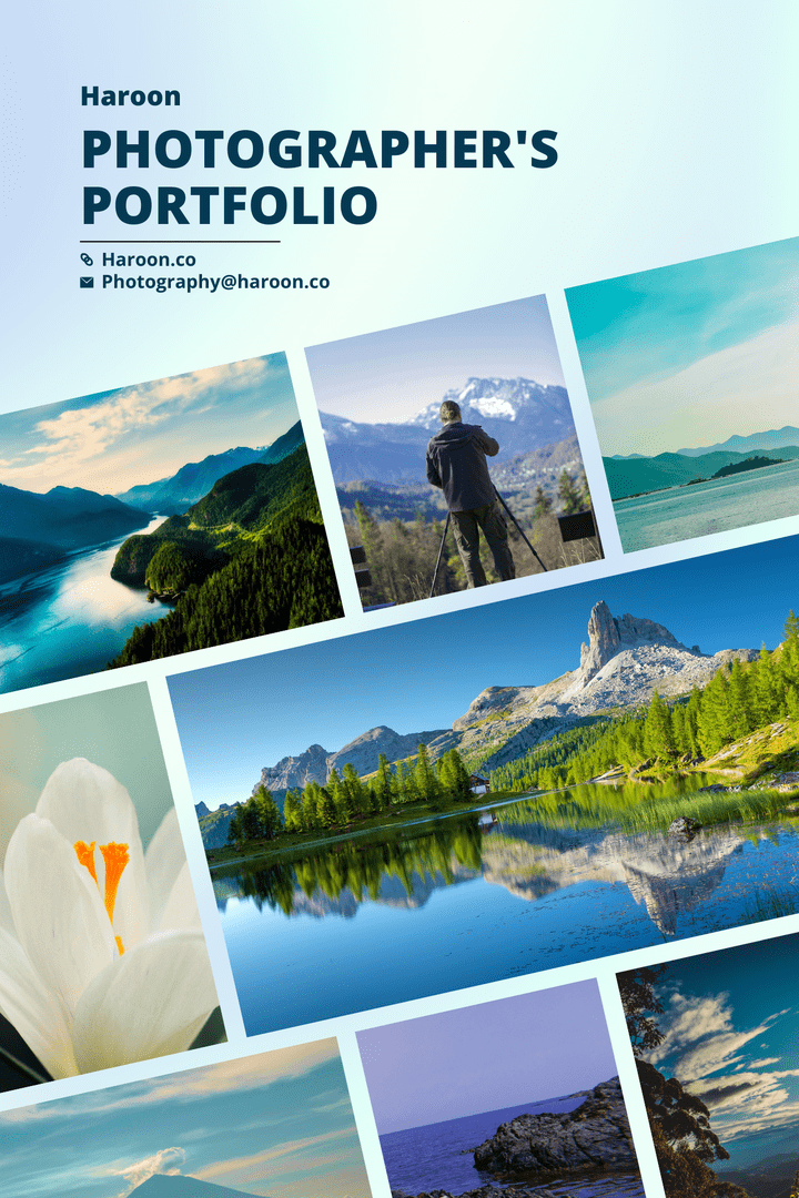 Portfolio