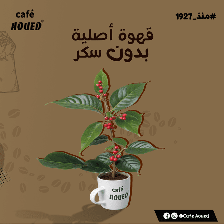 تصميمات صوشل ميديا مبدعة وجذابة!