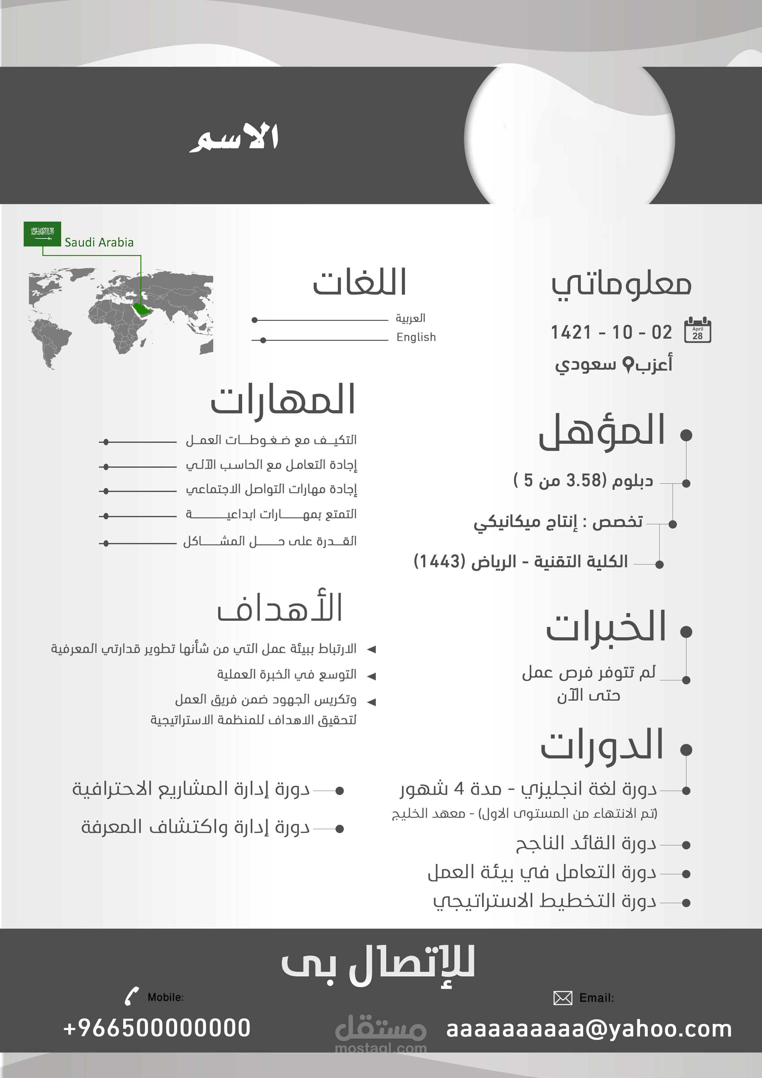 سيرة ذاتية احترافية