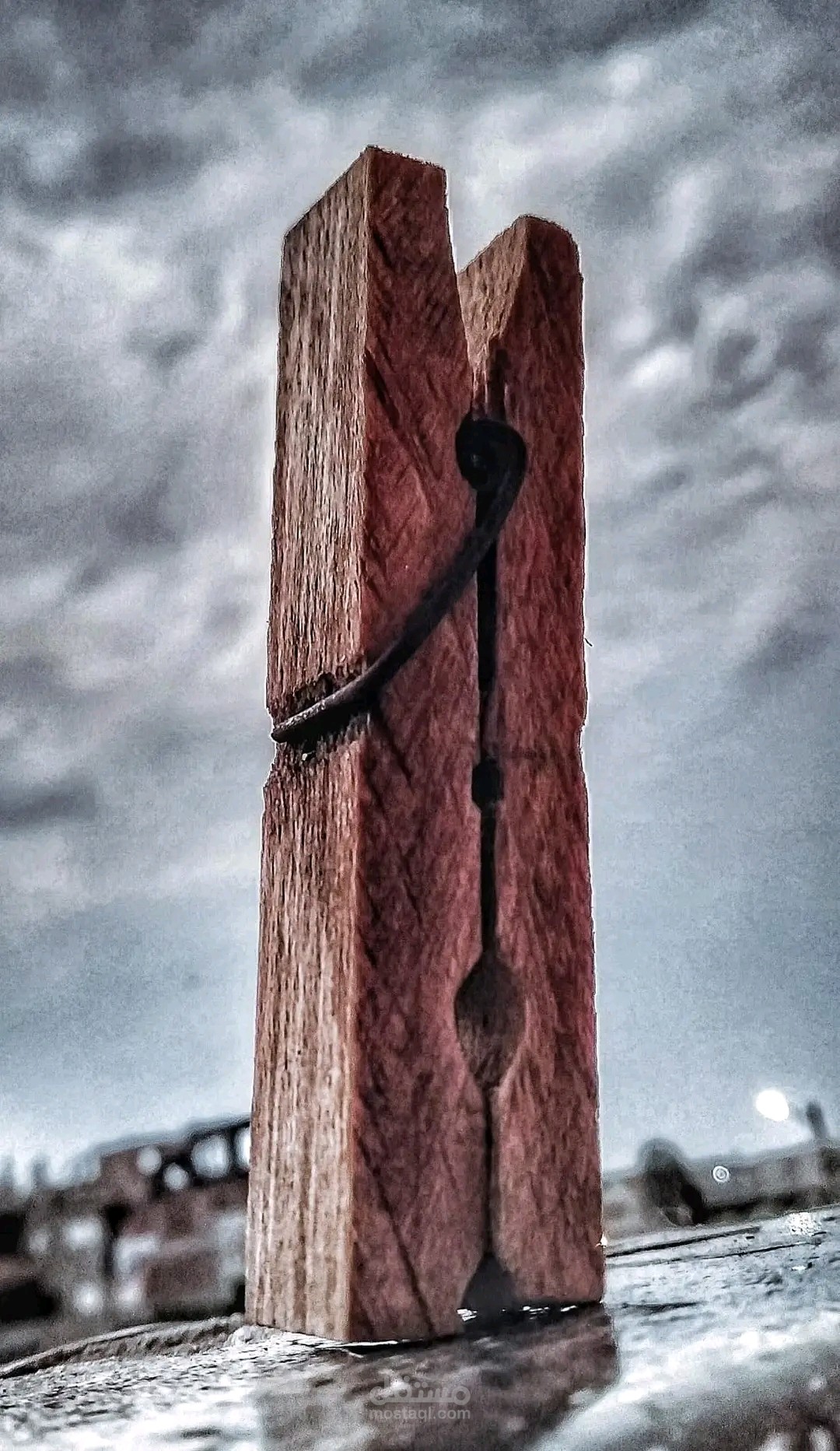 تصويري الفوتو غرافي