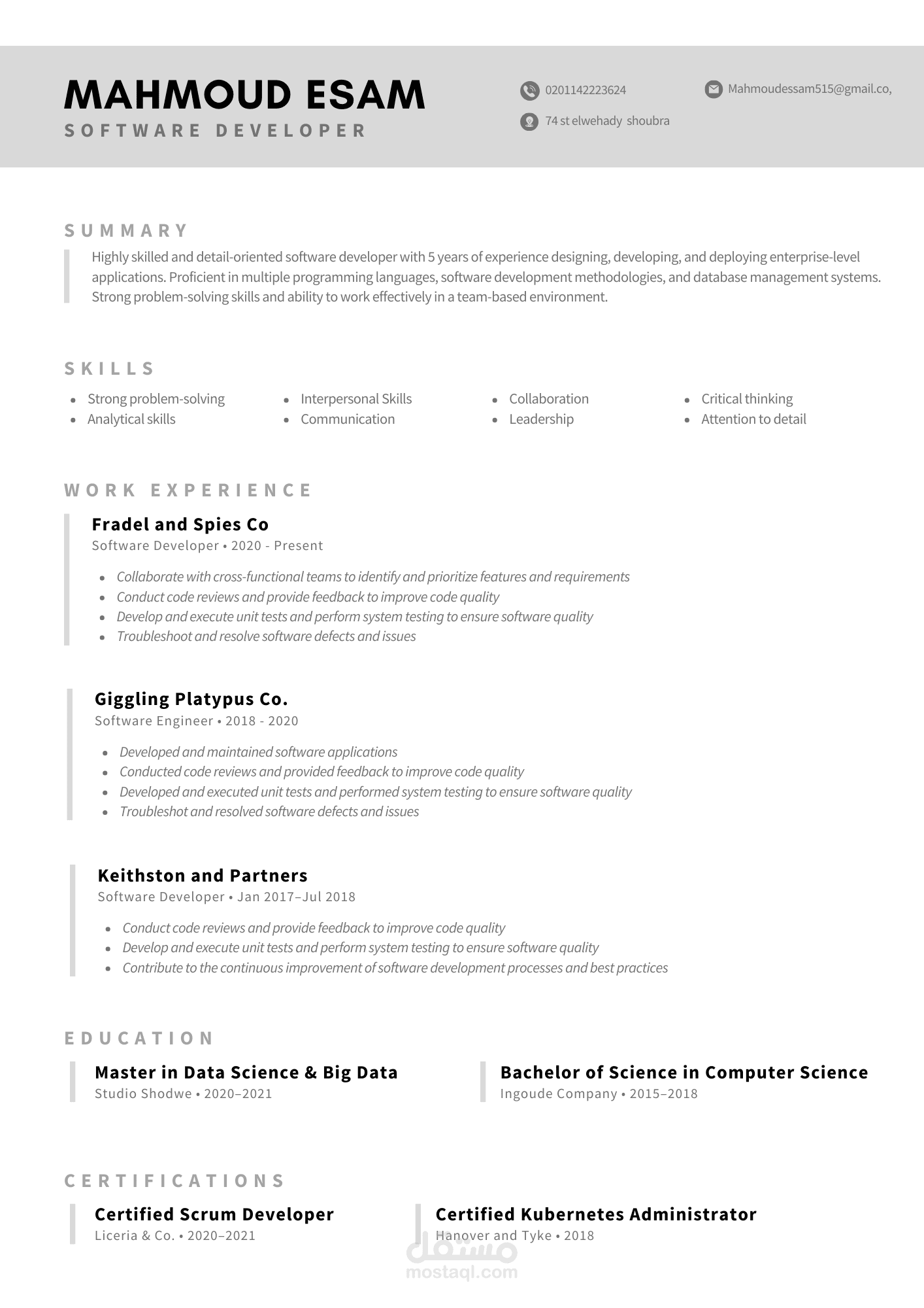 Professional Resume - cv بطريقه احترافيه