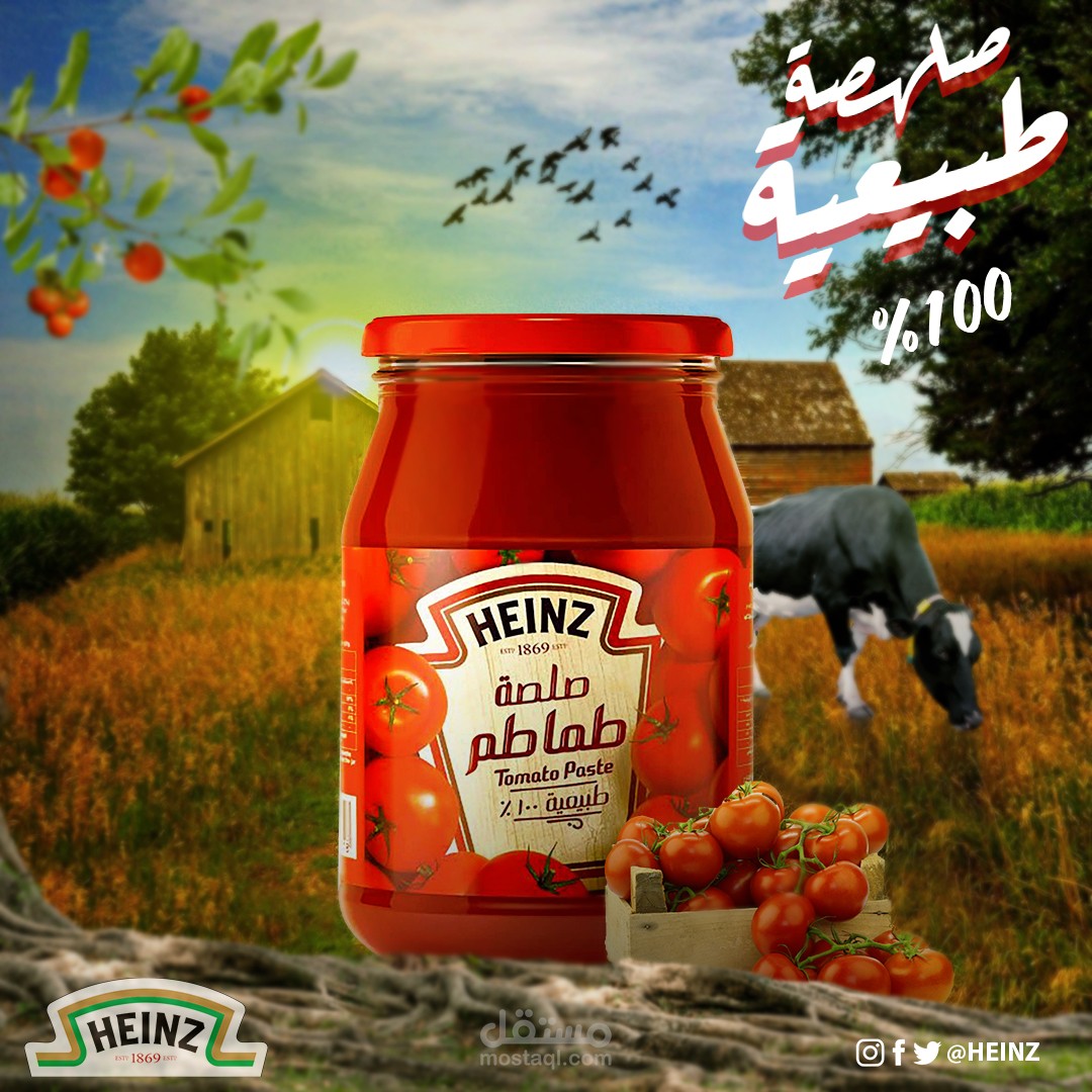 تصميم لشركه Heinz