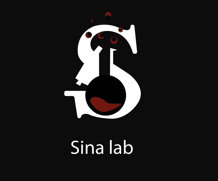 Sina lab logo