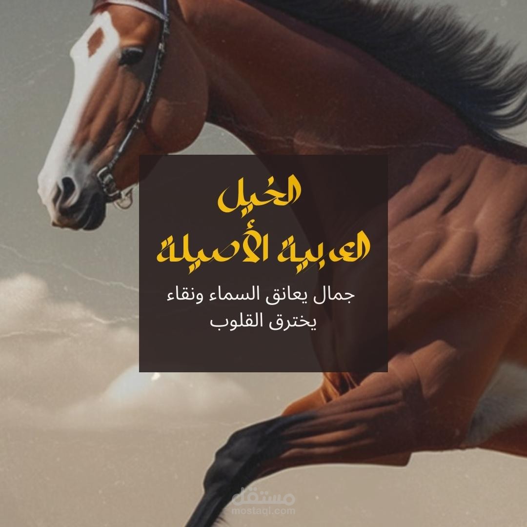 بوست انستجرام عن الخيل