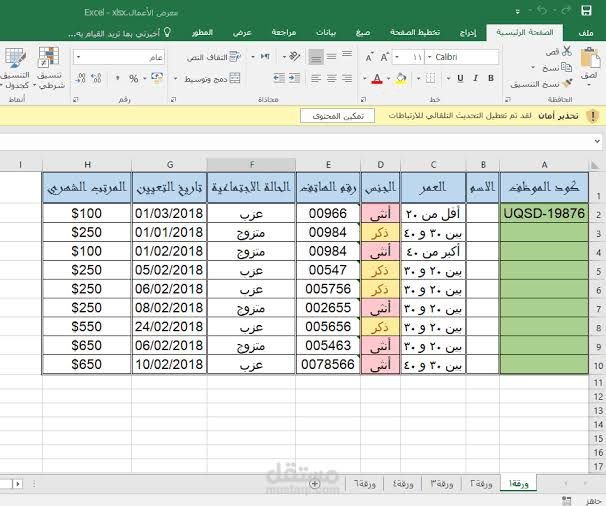 إدخال بينات والعمل علي اكسيل