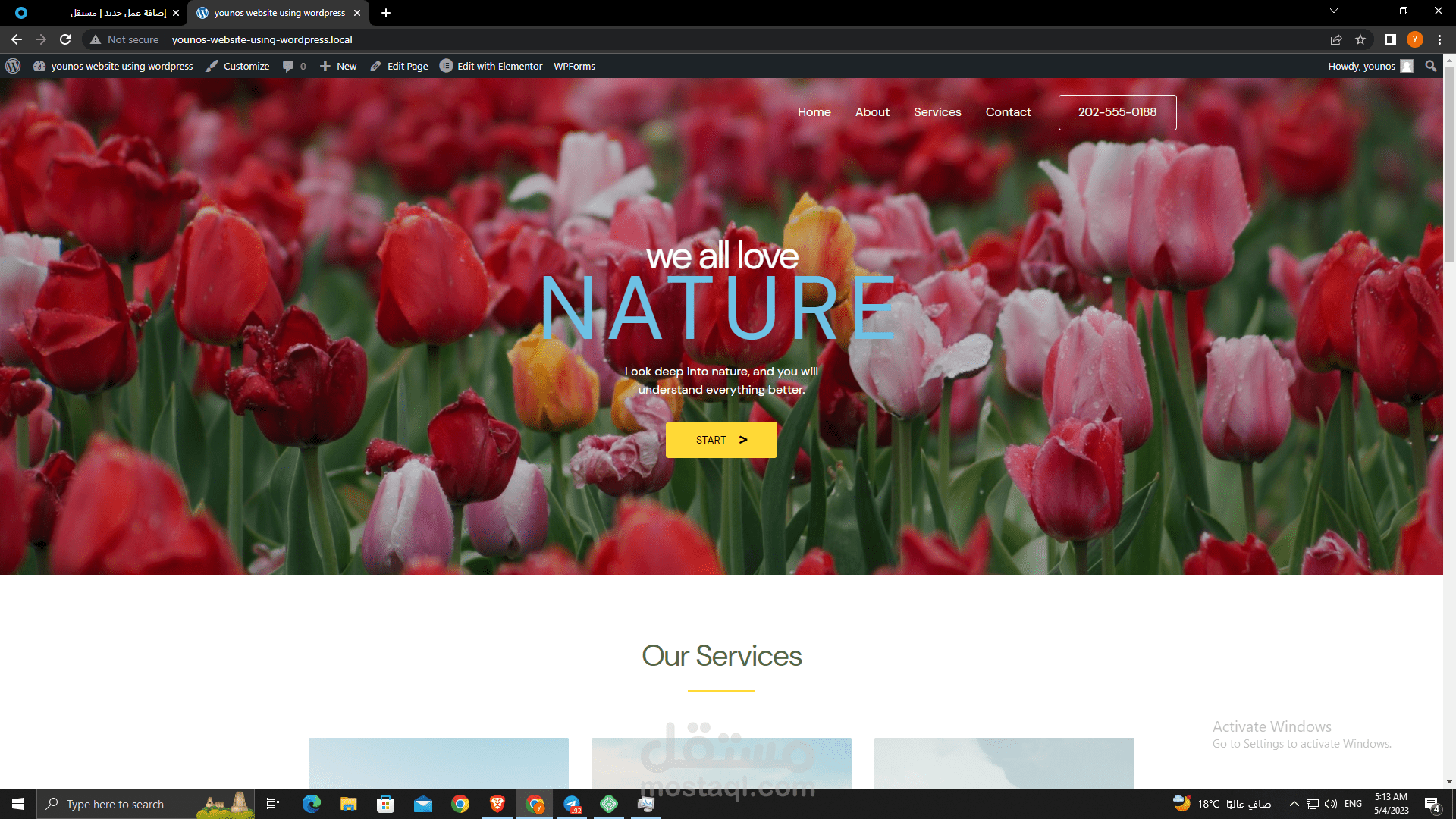 Wordpress website 
