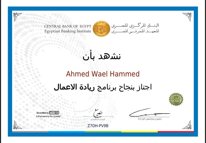Entrepreneurship central bank of egypt Intern